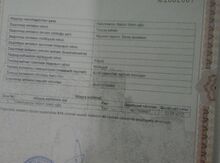 4.6 sot torpaq sahəsi, Abşeron r., Saray qəs.