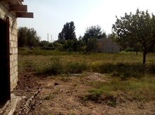 6 sot torpaq sahəsi, Şamaxı r.