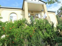 Villa, Qaraçuxur qəs.