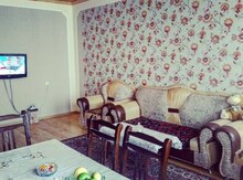 Həyət evi kirayə verilir, Qəbələ r.