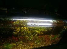 Akvarium