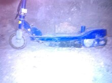 Skuter