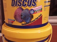 "Ahm discus" balıqlar üçün