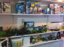 Akvarium üçün məhsul