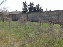 Земельный участок 6 сот, пос. Новханы