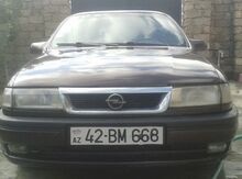 Opel Vectra, 95 il