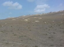 60 sot torpaq sahəsi, Xırdalan ş.