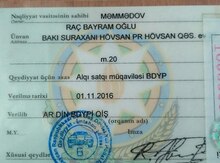 Texpasport tapılıb