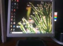 Monitor "HP"