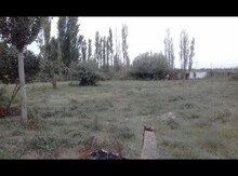 Həyət evi, Sabirabad r.