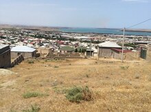 10 sot torpaq sahəsi, Abşeron r.
