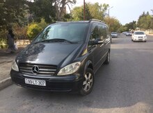 Mercedes Viano, 2008 il