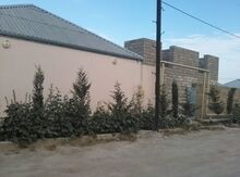 Həyət evi, Binə qəs.