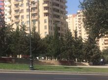 2-комн. квартира, м. Ичери Шехер, 54.0 м²