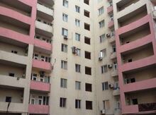 Ofis icarəyə verilir, Nəsimi r.