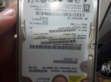 Sərt disk
