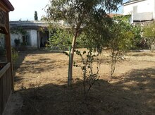 Bağ evi kirayə verilir, Mərdəkan qəs.