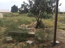 Həyət evi, Mingəçevir ş.