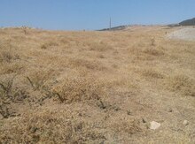 4 sot torpaq sahəsi, Şamaxı r.