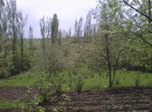 25 sot torpaq sahəsi, Qusar r.