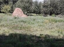 20 sot torpaq sahəsi, Quba r.
