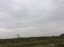 3000 sot torpaq sahəsi, Bilesuvar r.