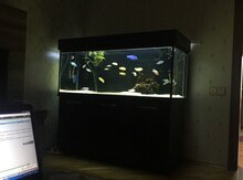 Akvarium