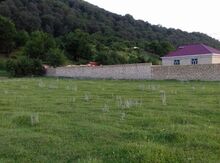 43 sot torpaq sahəsi, Qusar r.