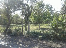 10 sot torpaq sahəsi, Quba r.