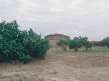 8 sot torpaq sahəsi, Corat qəs.