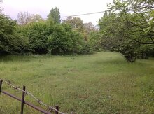 28.7 sot torpaq sahəsi, Quba r., Xucbala qəs.