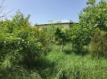 Bağ evi, Xızı r.