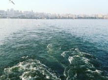 Coografiya dərsləri