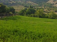 26 sot torpaq sahəsi, Quba r.