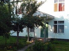 Həyət evi kirayə verilir, Qəbələ r.
