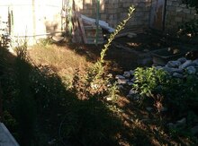 2 sot torpaq sahəsi, Nabran qəsəbəsi