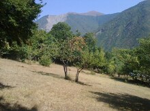 8 sot torpaq sahəsi, Şəki r.