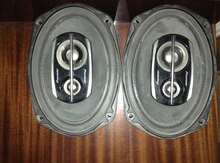 Dinamiklər "Pioneer"