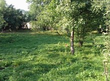5 sot torpaq sahəsi, Quba r.