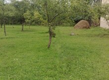 16 sot torpaq sahəsi, Quba r.