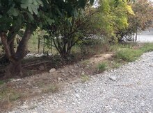 6 sot torpaq sahəsi, Şəmkir r.
