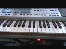 Sintezatorlar "Korg PA-50, PA-80"