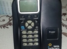 Catel telefonu