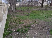 1,2 sot torpaq sahəsi, Şabran ş.