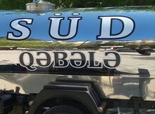 Süd çəni