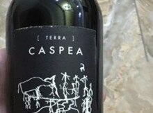Caspea Terra
