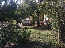 10 sot torpaq sahəsi, Zaqatala r.