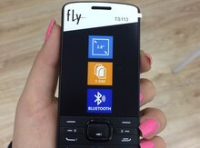 Fly TS113