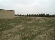 4 sot torpaq sahəsi, Gəncə ş.