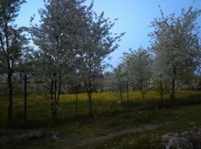24 sot torpaq sahəsi, Quba r.